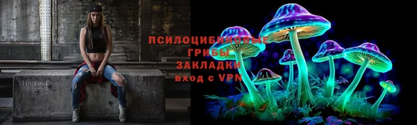 амф Аркадак
