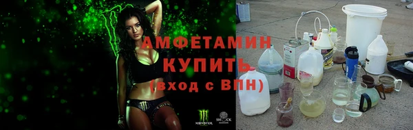 амф Аркадак