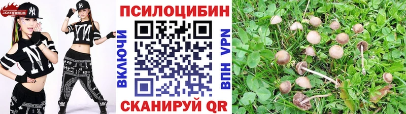 Галлюциногенные грибы мицелий Гаджиево