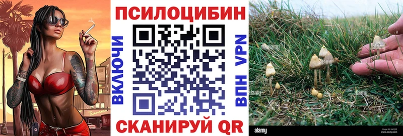 Купить закладки  Гаджиево  Псилоцибиновые грибы MAGIC MUSHROOMS 